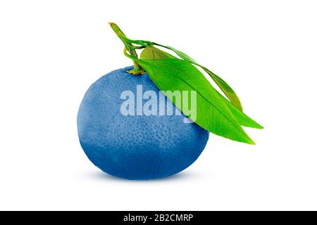 Arancione blu con foglie verdi su sfondo bianco. Foto Stock