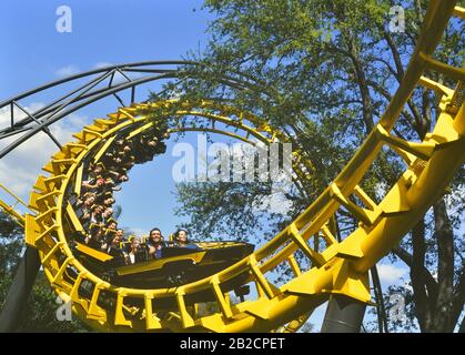 Le montagne russe in acciaio Python. Busch Gardens, Tampa Bay, Florida, Stati Uniti. Esso è chiuso il 31 ottobre 2006. Foto Stock