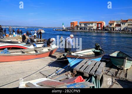 Pesca di orata al quartiere di Pointe Courte a Sete, Occitanie Francia Foto Stock