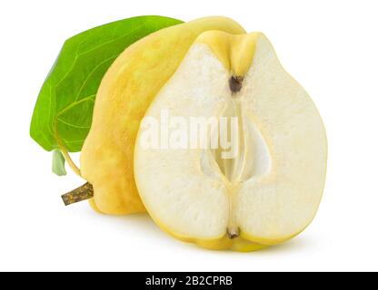 Cotogne isolate. Un frutto intero di mele cotogne e mezzo isolato su sfondo bianco con sentiero di taglio Foto Stock