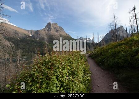 un paesaggio di un picco di montagna e sentiero vicino al tramonto in una foresta bruciata Foto Stock