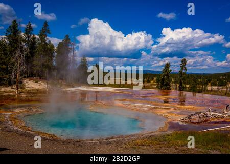 Sorgente Firehole Lungo Firehole Lake Drive, Nel Parco Nazionale Di Yellowstone Foto Stock