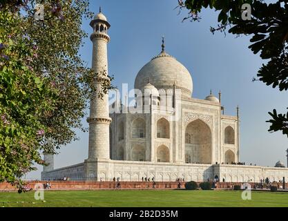 Taj Mahal alla luce del mattino, Agra, Uttar Pradesh, India Foto Stock