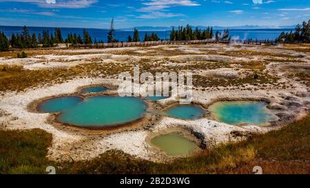 Piccole piscine termali a West Thumb Geyser Bision, Parco Nazionale di Yellowstone Foto Stock