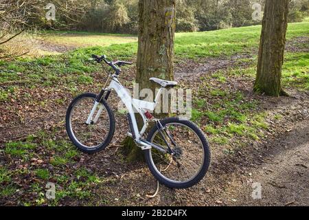 1995 mountain bike Specializzata con sospensione anteriore e posteriore completa, appoggiata ad un albero a Milton Keynes Foto Stock