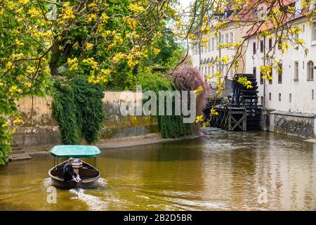 Praga, Repubblica Ceca - 30.04.2019: Certovka o Devil River con il mulino ad acqua a Kampa Island, Praga, Repubblica Ceca Foto Stock