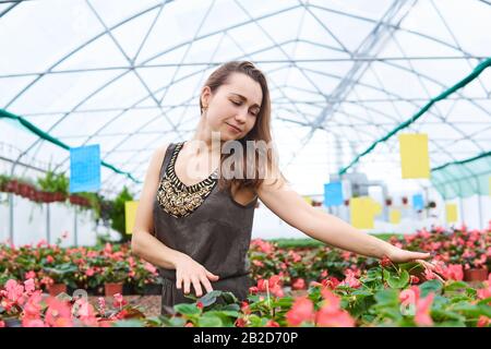 giovane donna in un abito con amore tocca i fiori in una serra Foto Stock