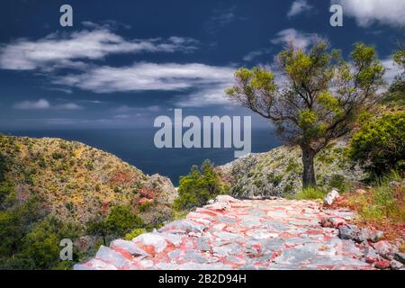 Vuoto strada di pietra rurale con albero solitario passando attraverso incredibile paesaggio di montagna sotto cielo nuvoloso. Natura astratta in colori surreali. Blu mare sul retro Foto Stock