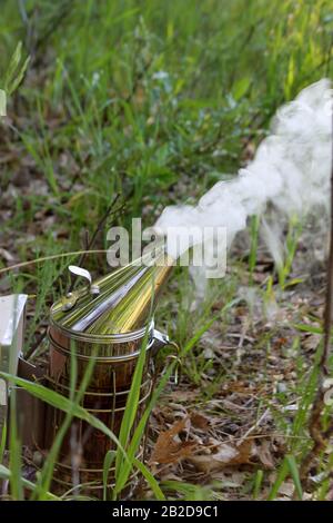 Fumatore per lavorare honeybees che fumano via Foto Stock