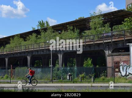 Siemensbahn, Wernerwerk, Siemensdamm, Siemensstadt Berlino, Deutschland Foto Stock