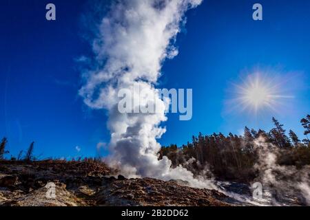 Steamboat Geyser, nel Norris Geyser Basin del Parco Nazionale di Yellowstone, è il geyser più alto al mondo attualmente attivo. Foto Stock