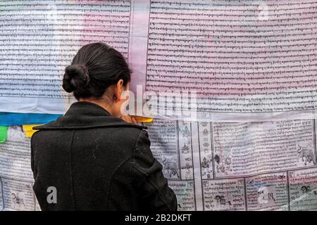 Pellegrini intorno al tempio di Jokhang, Lhasa, Tibet, Cina. Foto Stock