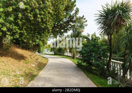 Strada a piedi lungo la balaustra nel parco tropicale della città resort. Giornata estiva soleggiata Foto Stock