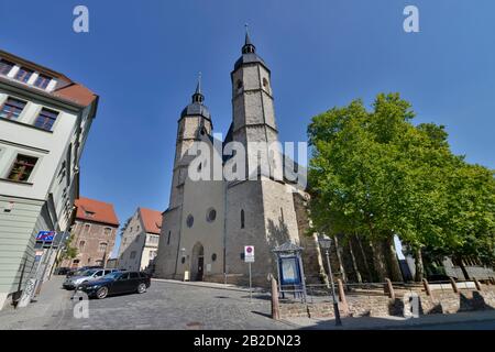 San Andreaskirche, Lutherstadt Eisleben, Sachsen-Anhalt, Deutschland Foto Stock