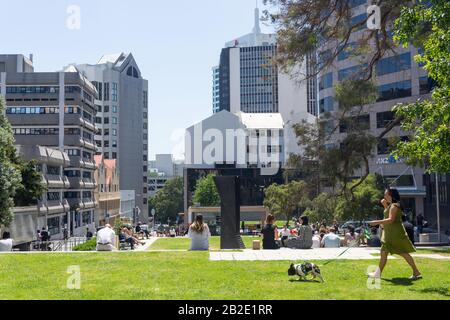 Ufficio lavoratori rilassante a pranzo, Federal Square, City Centre, Auckland, Auckland Regione, Nuova Zelanda Foto Stock