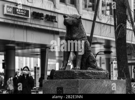 Una foto in bianco e nero della Statua del Memoriale di Hachikō, a Shibuya (Tokyo). Foto Stock