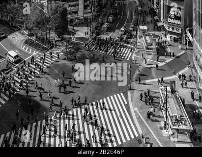 Una foto in bianco e nero del Shibuya Crossing, come visto dall'alto, a Tokyo. Foto Stock