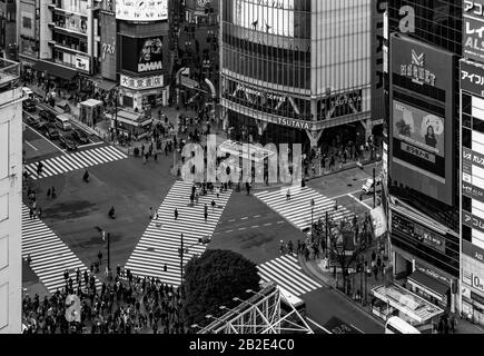 Una foto in bianco e nero del Shibuya Crossing, come visto dall'alto, a Tokyo. Foto Stock