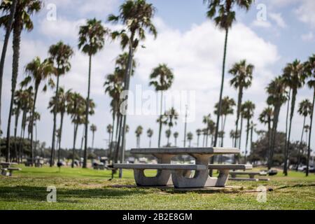 Panca in cemento nel parco soleggiato con molte palme Foto Stock