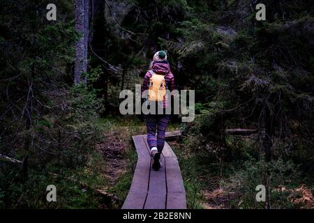 donna che cammina lungo una passerella nella foresta escursioni in inverno Foto Stock