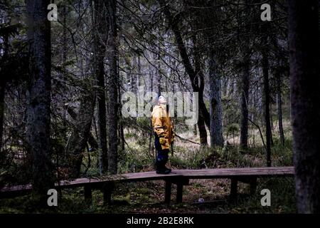 ragazzo in piedi su un lungomare nel mezzo di una foresta che guarda in alto Foto Stock