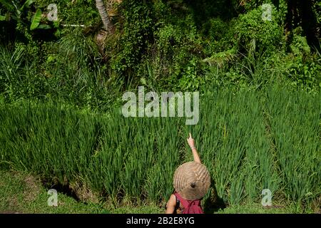 Ragazza giovane che indossa un cappello di paglia che punta su una terrazza di riso a Bali