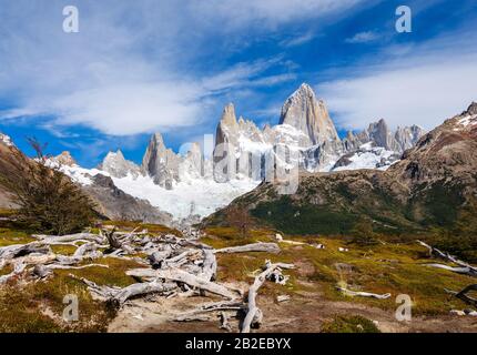 PARCO Nazionale LOS GLACIARES, ARGENTINA - CIRCA FEBBRAIO 2019: Valle e alberi morti nel Parco Nazionale los Glaciares in Argentina. Foto Stock