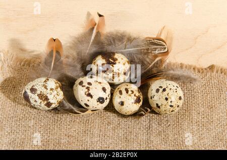 Uova di Quail su un panno ruvido burlap con belle piume su uno sfondo di superficie di legno. Foto Stock