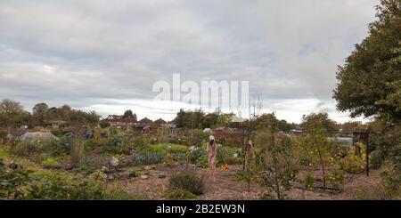 Allotments sul Boradway Didcot Town Oxfordshire Regno Unito Foto Stock