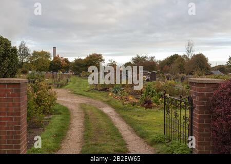 Allotments sul Boradway Didcot Town Oxfordshire Regno Unito Foto Stock