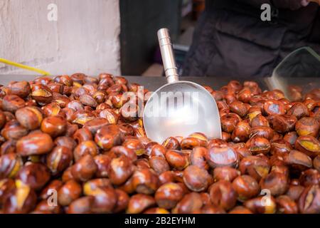 Castagne Crude Per Natale. Castagno dolce fresco. Primo piano di un gruppo di castagne dolci. Foto Stock