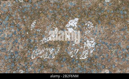 Weathered and faded number twenty nine painted on a rough concrete surface image in horizontal format with copy space Foto Stock