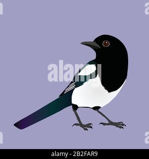 Un'illustrazione di un magpie cute Illustrazione Vettoriale