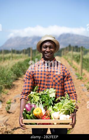 Ritratto di un felice uomo afroamericano in piedi in un campo agricolo che porta una scatola di verdure biologiche fresche, sorridente. Famiglia che si gode il tempo a casa Foto Stock