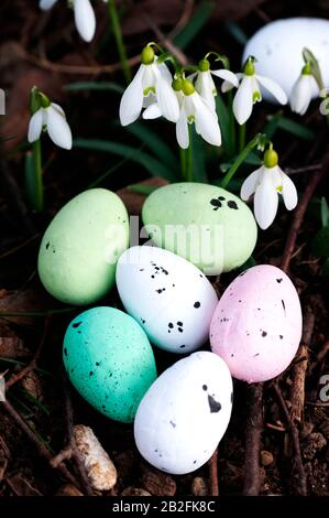 Uova di Pasqua, fiori primaverili di nevicata, foresta. Composizione pasquale. Biglietto di auguri design, cartolina. Primo piano. Foto Stock