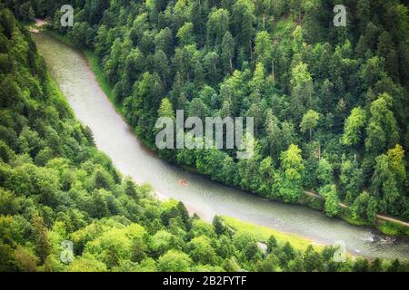 Foresta verde con il fiume, vista aerea come sfondo. Foto Stock