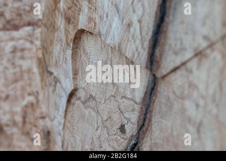 Una vista dettagliata di un pezzo di legno con imperfezioni visibili e venature di legno Foto Stock