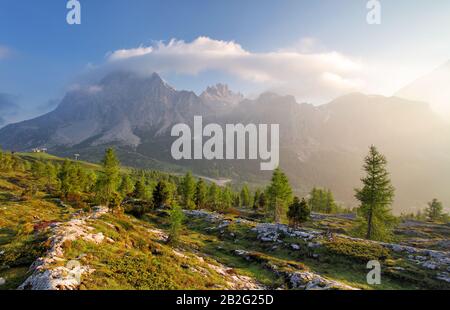 Scenario la natura alpina in Italia Foto Stock