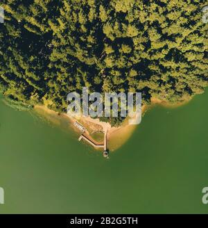 Una vista drone della foresta lituana in Foto Stock