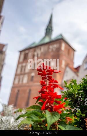 Kolobrzeg, Polen - 31 Juli 2016: La Grande Cattedrale Di Kolobrzeg, Polonia Foto Stock