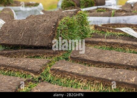 Turf rotolo di erba, erba verde tappeto in rotolo per prato. Pila di tappeto erboso rotoli di erba per la sistemazione paesaggistica. Foto Stock