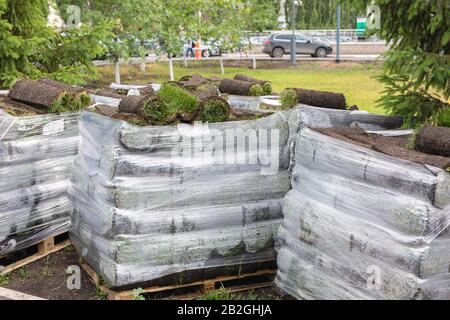 Pile di sod i rotoli per il nuovo prato per paesaggistica. Erba di prato in rotoli su pallet nei confronti della strada. laminati prato è pronto per la posa Foto Stock