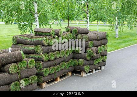 pile di rotoli di zolle per il nuovo prato per il paesaggio. Prato erba in rotoli su pallet contro di strada. Laminato prato erba è pronto per la posa. Foto Stock