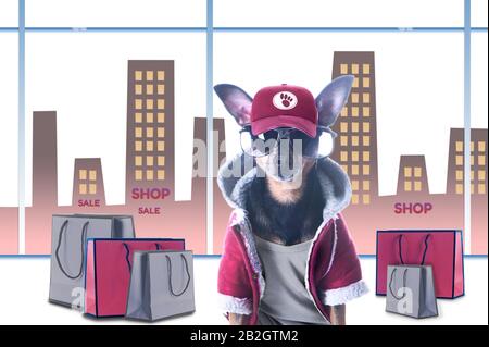 Cani concetto di shopping e vendite. Pacchetti alla moda per cani e negozi sullo sfondo della città e dei negozi Foto Stock
