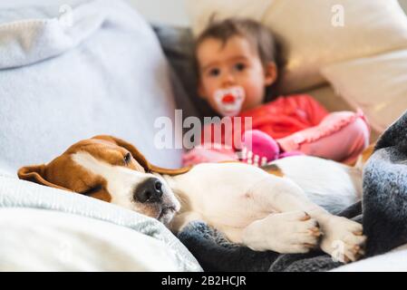 Bambino con cane sul divano rilassarsi insieme. Foto Stock