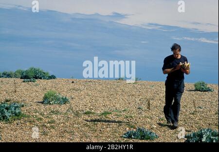 Derek Jarman, Dungeness, 1988 Foto Stock