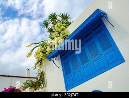 Persiane in legno blu in stile mediterraneo contro il cielo e i fiori Foto Stock