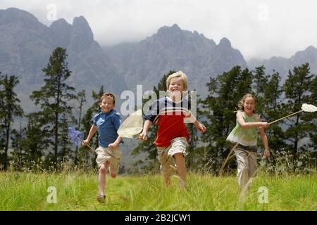 Tre bambini (7-9) che attraversano il campo con reti a farfalla. Foto Stock