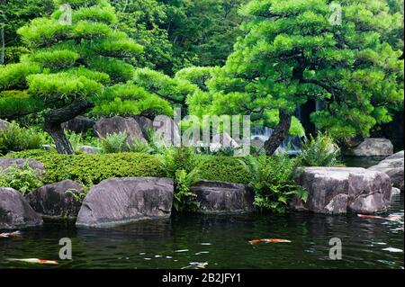 Giappone Himeji Himeji Koko-en Giardini stagno con Koi Carps Foto Stock