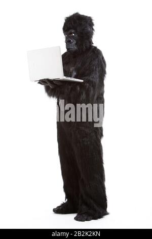 Giovane uomo in costume gorilla con laptop su sfondo bianco Foto Stock